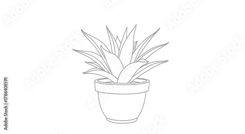 Potted Succulent Plant Outline Icon for Home Decor