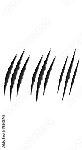 Savage Claw Marks & Monster Scratch Damage Graphic