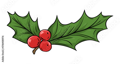 Colored illustration of holly leaves and berries without background