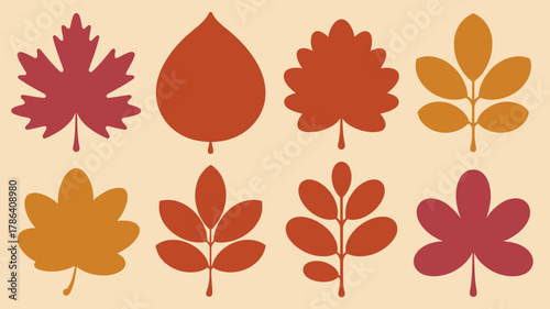 Vibrant autumn leaves collection showcasing fall colors and natural beauty, perfect for seasonal decor and design projects