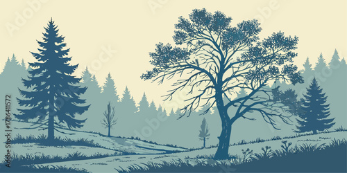 Silhouette of Pine Trees and a Deciduous Tree in Foggy Landscape