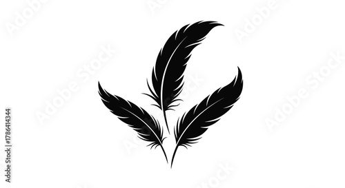 Elegant black feathers arranged in a delicate minimalist composition