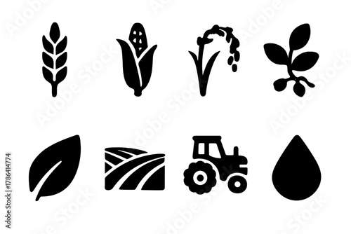Agricultural Crop Icons. Agricultural crops. Filled icon set of agricultural crops: wheat stalk, corn plant,