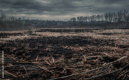 Dramatic Burned field from controlled burn