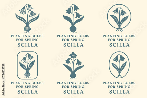 Spring Bulb Planting Logos. Planting bulbs for spring. Set Logo of Planting bulbs for spring: Scilla. harmonious logo variations of the same emblematic