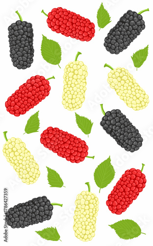blackberries and mulberries with Leaf on a white background