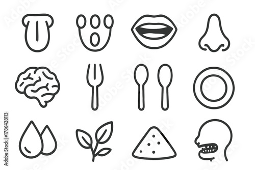 Food Sensory Icons. Food sensory. Line outline icon set of food sensory: tongue, taste buds, mouth, nose,