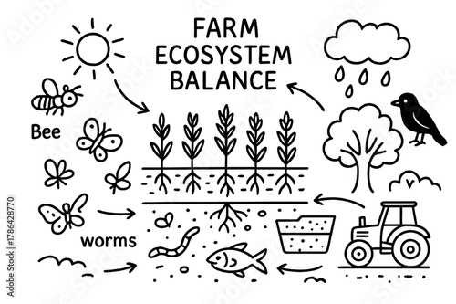 Farm Ecosystem Doodle. Farm ecosystem balance. Hand-drawn doodle illustration Farm ecosystem balance field, crops, insects, worms, birds, trees, sun, rain,