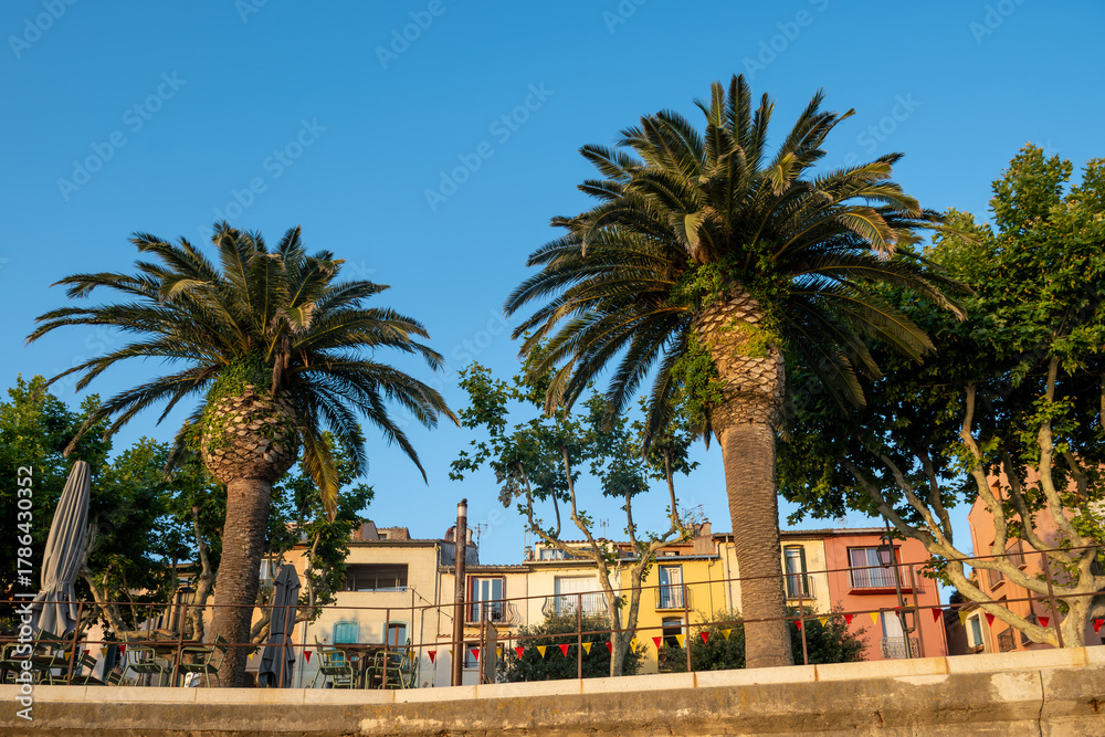 Fototapeta premium Morning view of colourful Collioure, narrow streets and yellow, pink, orange houses, summer vacation destination town with historical buidings and beaches, Pyrenees-Orientales, France