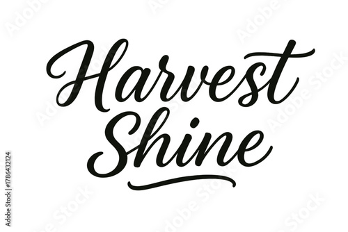 Harvest Shine Script. Harvest Shine ? Script Hand-Lettering: flowing brush script with smooth curves and airy