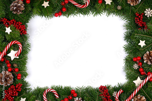 christmas pine isolated whites frame