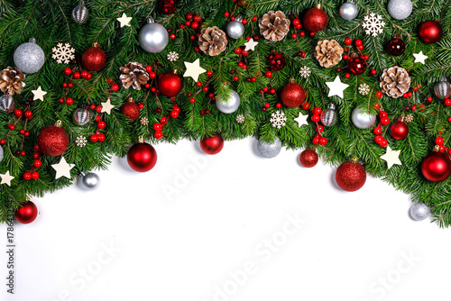 christmas pine isolated whites frame