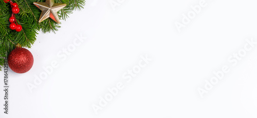 christmas pine isolated whites frame