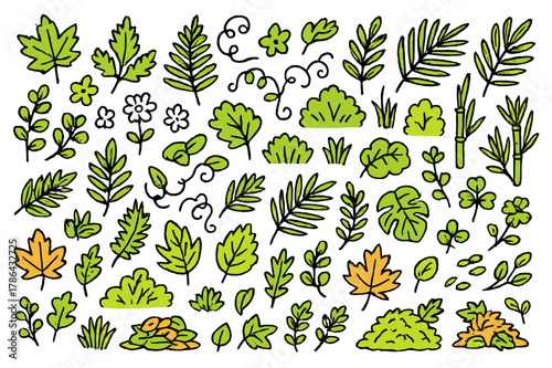 Colorful Garden Foliage. Garden foliage. Hand-drawn doodle illustration maple leaves (colored), oak leaves (colored), fern fronds (colored), ivy (colored),