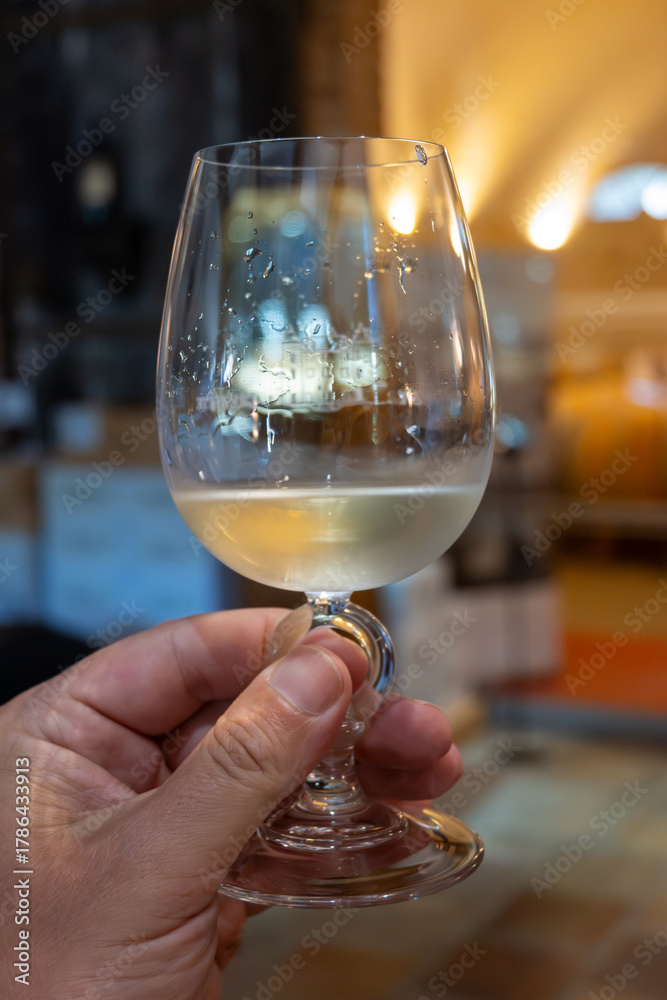 Obraz premium Visit of chateau with undergroud caves and wine tasting in Cahors wine production area, white, rose and red malbec wines, France