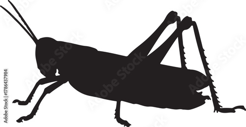 Black Silhouette of a Grasshopper in Profile on a White Background Keywords: grasshopper, insect, silhouette, black and white, drawing, illustration, bug, arthropod, on transparent background