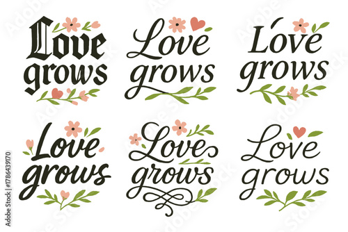 Love Grows Calligraphy. Love grows. Create a calligraphy lettering illustration of the phrase: Love grows.