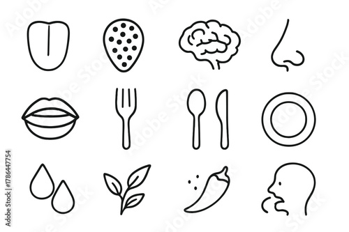 Tasting Icons Grid. How we taste food. Line outline icon set of how we taste food: tongue, taste buds, brain,