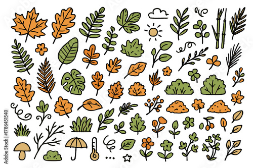Vibrant Autumn Leaves. Autumn foliage. Hand-drawn doodle illustration maple leaves (colored), oak leaves (colored), fern fronds (colored), ivy (colored), palm