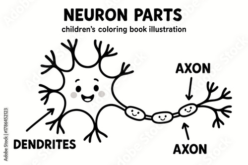 Neuron Coloring Fun. Neuron parts children?s coloring book illustration, outlined drawing, labeled diagram showing soma, dendrites, and axon with smiling faces