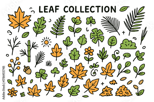 Colorful Leaf Doodles. Leaf collection. Hand-drawn doodle illustration maple leaves (colored), oak leaves (colored), fern fronds (colored), ivy (colored), palm