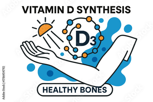 Vitamin D Synthesis Art. Vitamin D Synthesis. Rays touch the skin of a relaxed arm; molecule icons swirl, connecting into ?D3.? A minimalist label glows
