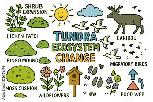 Tundra Ecosystem Doodle. Tundra ecosystem change. Colorful Hand-drawn doodle Children illustration Tundra ecosystem change shrub expansion, lichen patch, moss