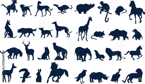 wild animals collection