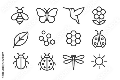 Pollinator Icon Collection. Pollinators. Line outline icon set of pollinators: bee, butterfly, hummingbird,