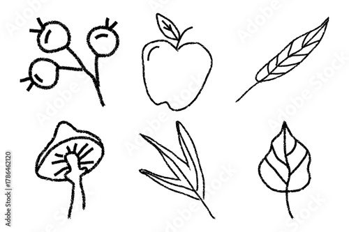 Autumn Doodles Vector Illustration. Hand Drawn Leaves, Berries, Mushrooms, Apple, and Flowers on White Background