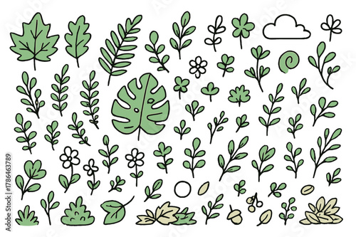 Vibrant Tropical Foliage Doodles. Tropical foliage. Hand-drawn doodle illustration maple leaves (colored), oak leaves (colored), fern fronds (colored), ivy