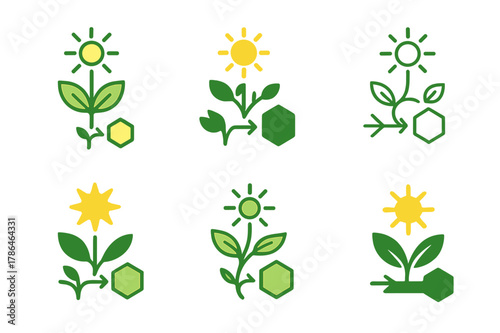 Photosynthesis Logos Grid. How plants make their food. Icon set. Set Logo of how plants make their food: sunlight-to-glucose conversion diagram. harmonious