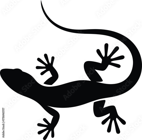 Black silhouette of a lizard on a white background