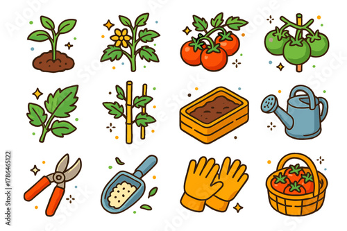 Tomato Gardening Icons. Tomato plant. Colorful isometric vector icons set of Tomato plant: young tomato seedling, flowering tomato vine, ripe red tomato