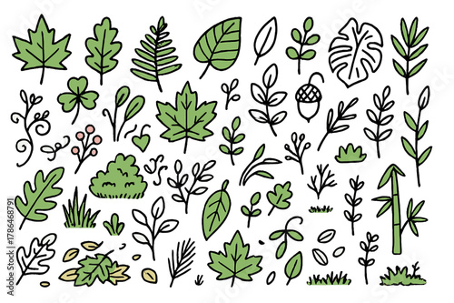 Colorful Leaf Variety. Variety of leaves. Hand-drawn doodle illustration maple leaves (colored), oak leaves (colored), fern fronds (colored), ivy (colored),