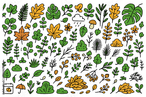 Vibrant Autumn Leaves. Autumn foliage. Hand-drawn doodle illustration maple leaves (colored), oak leaves (colored), fern fronds (colored), ivy (colored), palm