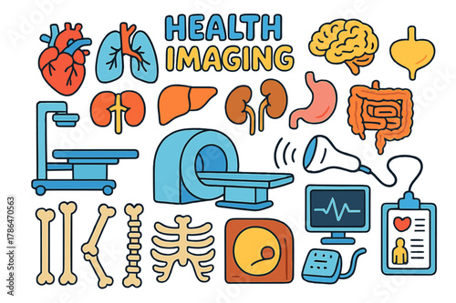 Colorful Health Doodle. health imaging. Colorful Hand-drawn doodle Children illustration health imaging heart, lungs, liver, kidneys, stomach, intestines,