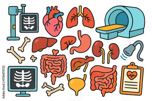 Colorful Internal Organs. internal organs imaging. Colorful Hand-drawn doodle Children illustration internal organs imaging heart, lungs, liver, kidneys,