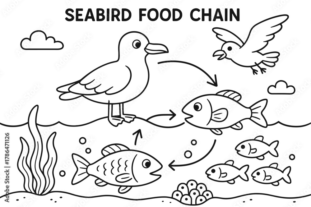 Obraz premium Seabird Food Chain Illustration. Seabird food chain children?s coloring book illustration, outlined drawing, a fun learning scene showing fish, seabirds, and