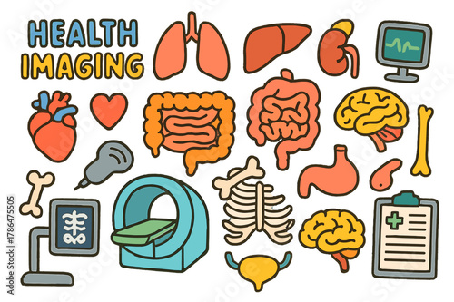 Colorful Health Doodle. health imaging. Colorful Hand-drawn doodle Children illustration health imaging heart, lungs, liver, kidneys, stomach, intestines,