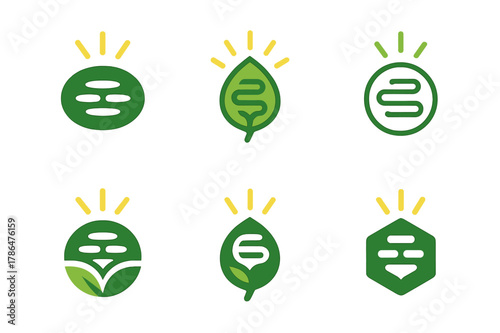 Plant Food Icons. How plants make their food. Icon set. Set Logo of how plants make their food: chloroplast with light beams. harmonious logo variations of the