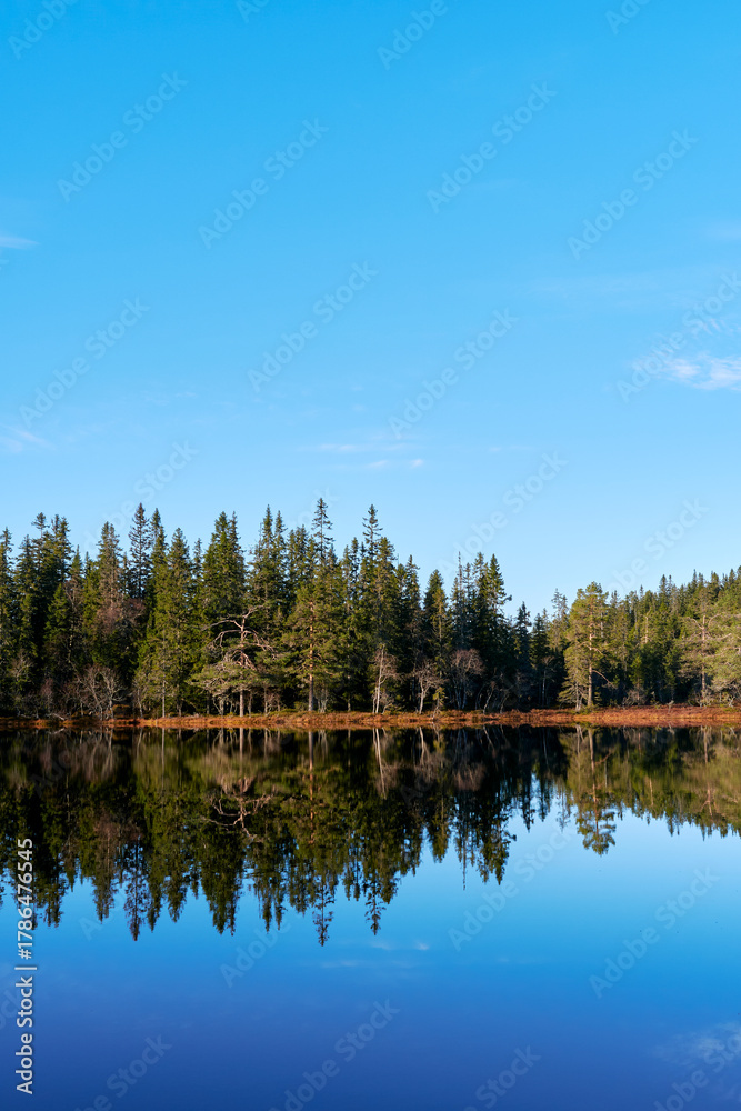 Obraz premium Reflections in the Vetl-Bergsjøen Lake, part of the Totenåsen Hills, Norway, in November 2025.