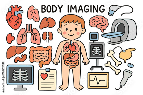 Colorful Body Imaging Doodles. body imaging. Colorful Hand-drawn doodle Children illustration body imaging heart, lungs, liver, kidneys, stomach, intestines,