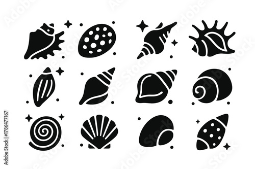 Tropical Shell Icons. Tropical Shells. Solid icons set of Tropical Shells: queen conch, tiger cowrie, triton trumpet, spider conch, harp shell, mitre shell,