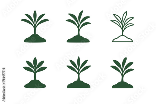 Palm Sapling Logos. Palm sapling. Set Logo of Palm sapling: young palm sprout in soil. harmonious logo variations of the same emblematic concept, each with