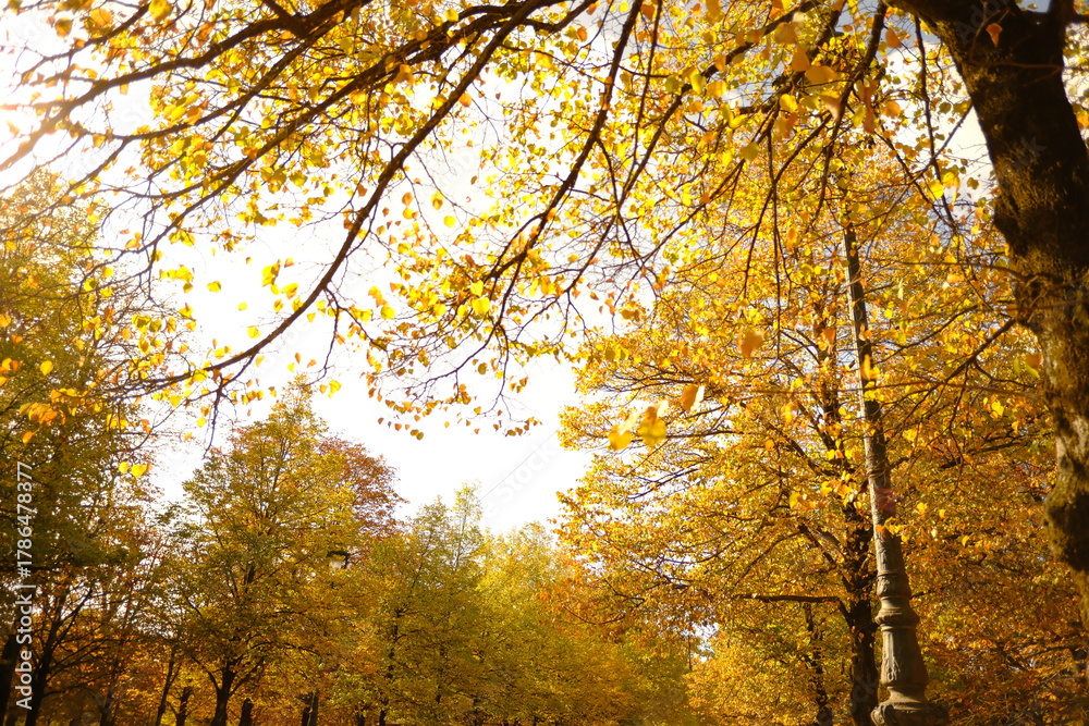 Fototapeta premium Paris, France