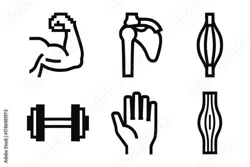 Linear icons of fitness and human anatomy: muscle, joint, and workout symbols