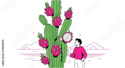 Illustration Of A Person Observing Dragon Fruit On A Cactus Plant In Nature