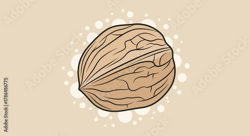 Illustration Of A Walnut With Delicate Veins And Abstract Background Elements, Artistic