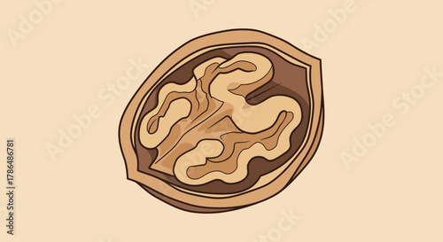 Illustration Of A Walnut Showing Its Inside, Isolated In A Light Brown Background